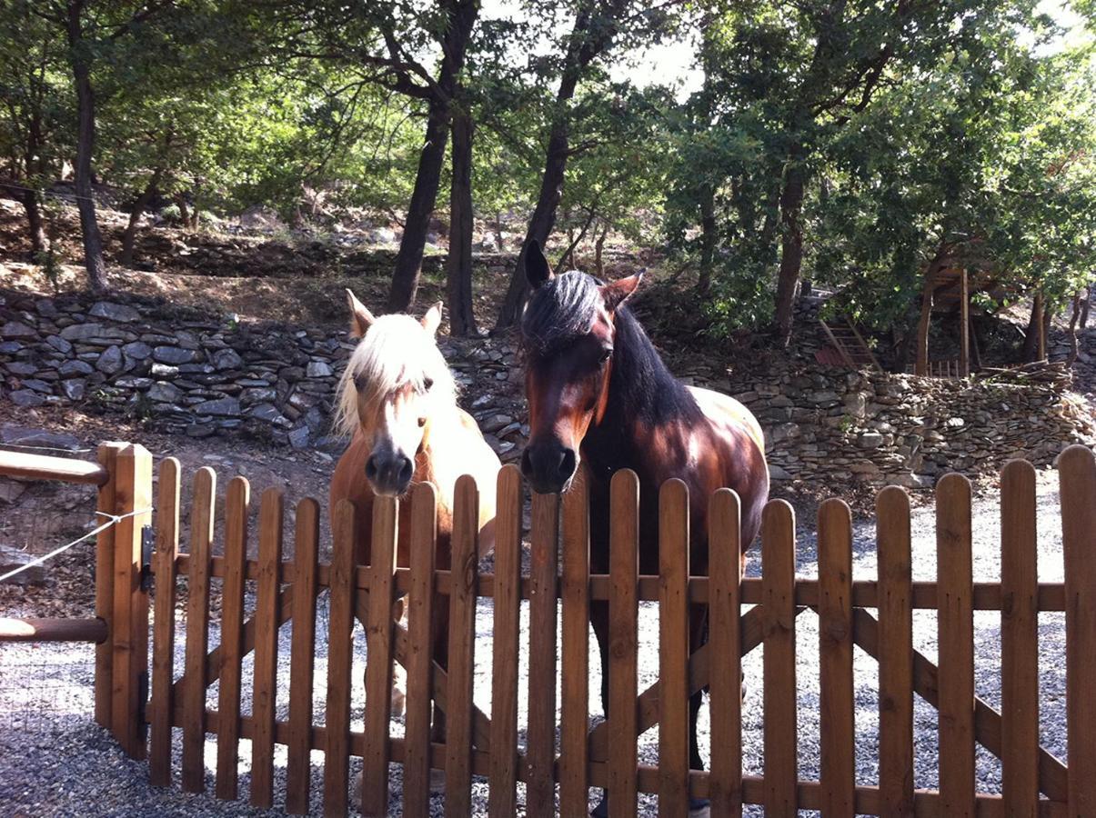 Gli Angeli Agriturismo Villa Cisano sul Neva Bagian luar foto